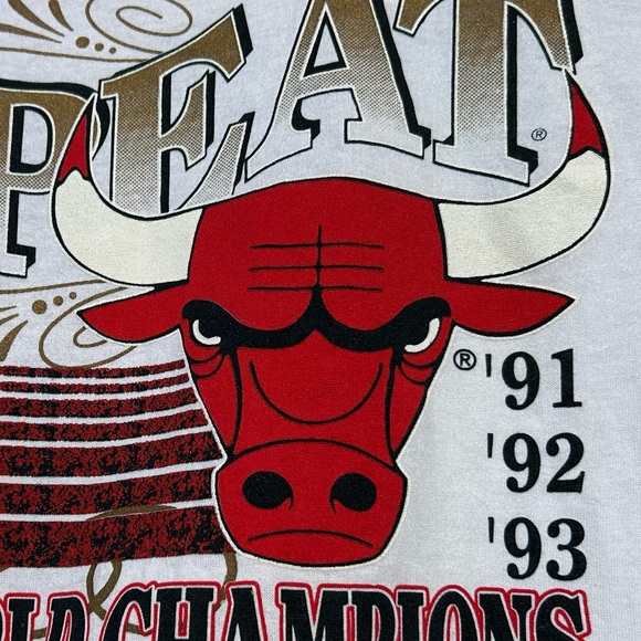 💥SOLD💥 NWT Vintage 1993 Chicago Bulls 🏀 NBA Finals tee shirt Spectator - Picture 11 of 16